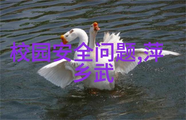 重庆玛雅海滩水公园于6月10日恢复开放