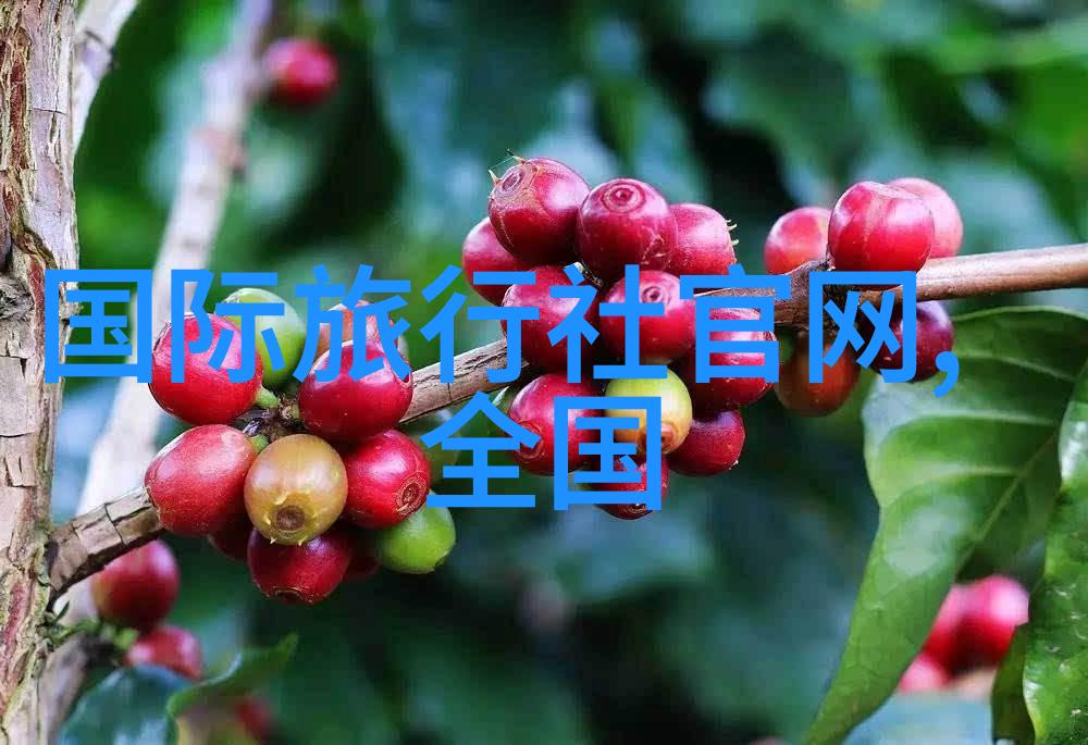 德国签证领区划分情况
