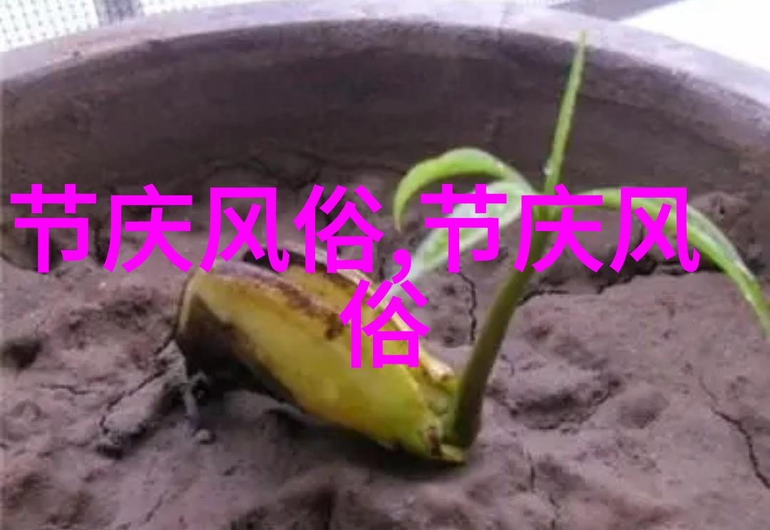 花城讲了南方过年有哪些习俗